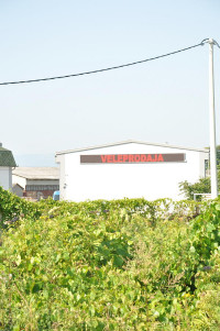 P10 crveni displej 1000x86cm